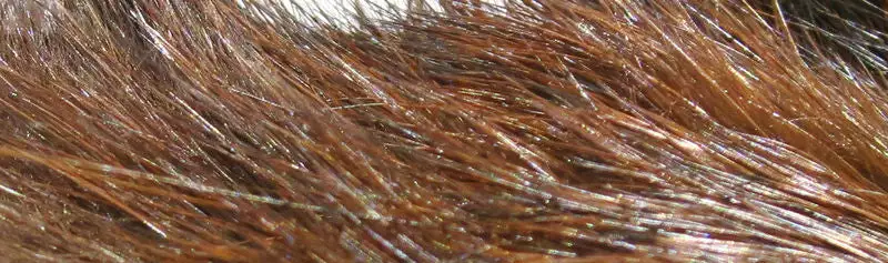 Hareline Dyed Grade #1 Hare's Mask Materials