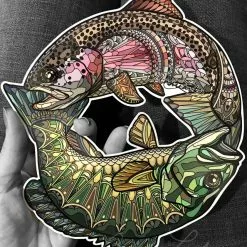 Fly Fishing Stickers Andrea Larko Rainbow Trout And Smallmouth Bass Sticker