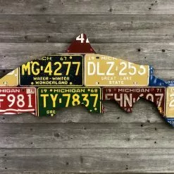 Cody Richardson Art - Michigan Steelhead License Plate Art