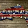 Cody Richardson Art - Idaho Trout License Plate Art