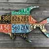 Gifts Cody Richardson Art - Mexico Permit License Plate Art