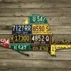 Cody Richardson Art - Mixed State Sailfish License Plate Art