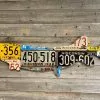 Cody Richardson Art - Wisconsin Pike/Muskie License Plate Art Gifts