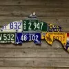 Cody Richardson Art - Pacific Northwest Steelhead License Plate Art Gifts