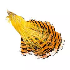 Wapsi GOLDEN PHEASANT