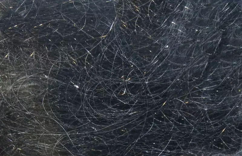 Hareline Materials Ice Wing Fiber 8 Inch