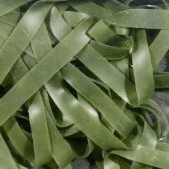 Hareline Materials Kiley's Nymph Skins