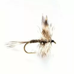 Fulling Mill Mosquito