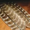 Hareline Ozark Oak Mottled Turkey Quills Materials