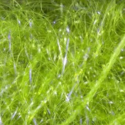 Hareline Materials UV Polar Chenille