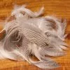 Hareline Pintail Flank Feathers Materials