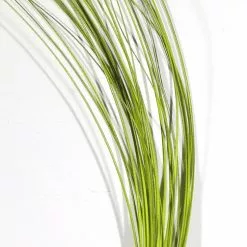 Hareline Quill Body Materials