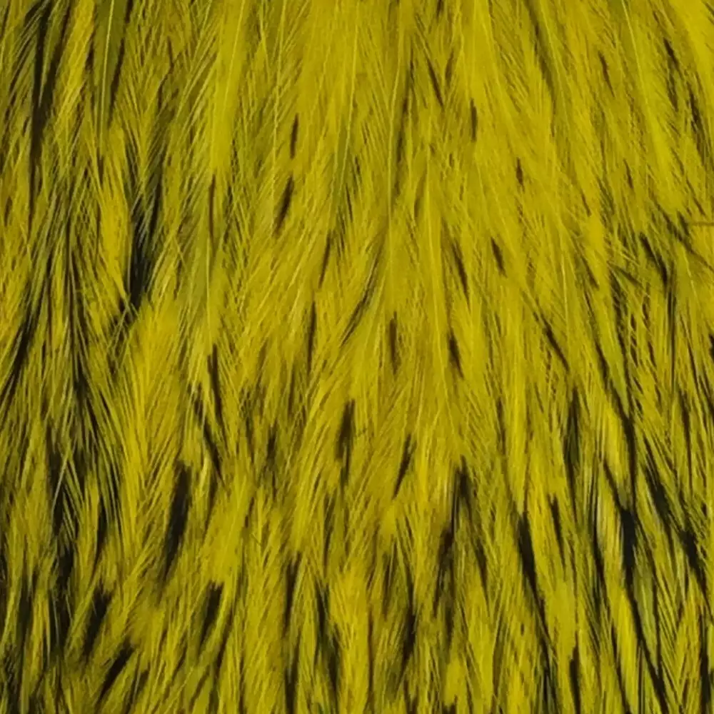 Materials Whiting American Hen Cape