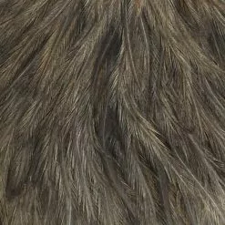 Materials Whiting American Hen Cape