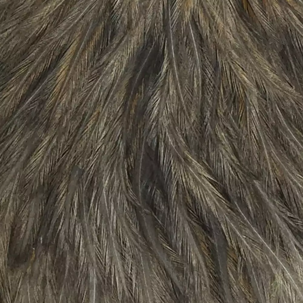 Materials Whiting American Hen Cape