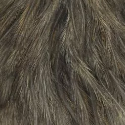 Materials Whiting American Hen Cape