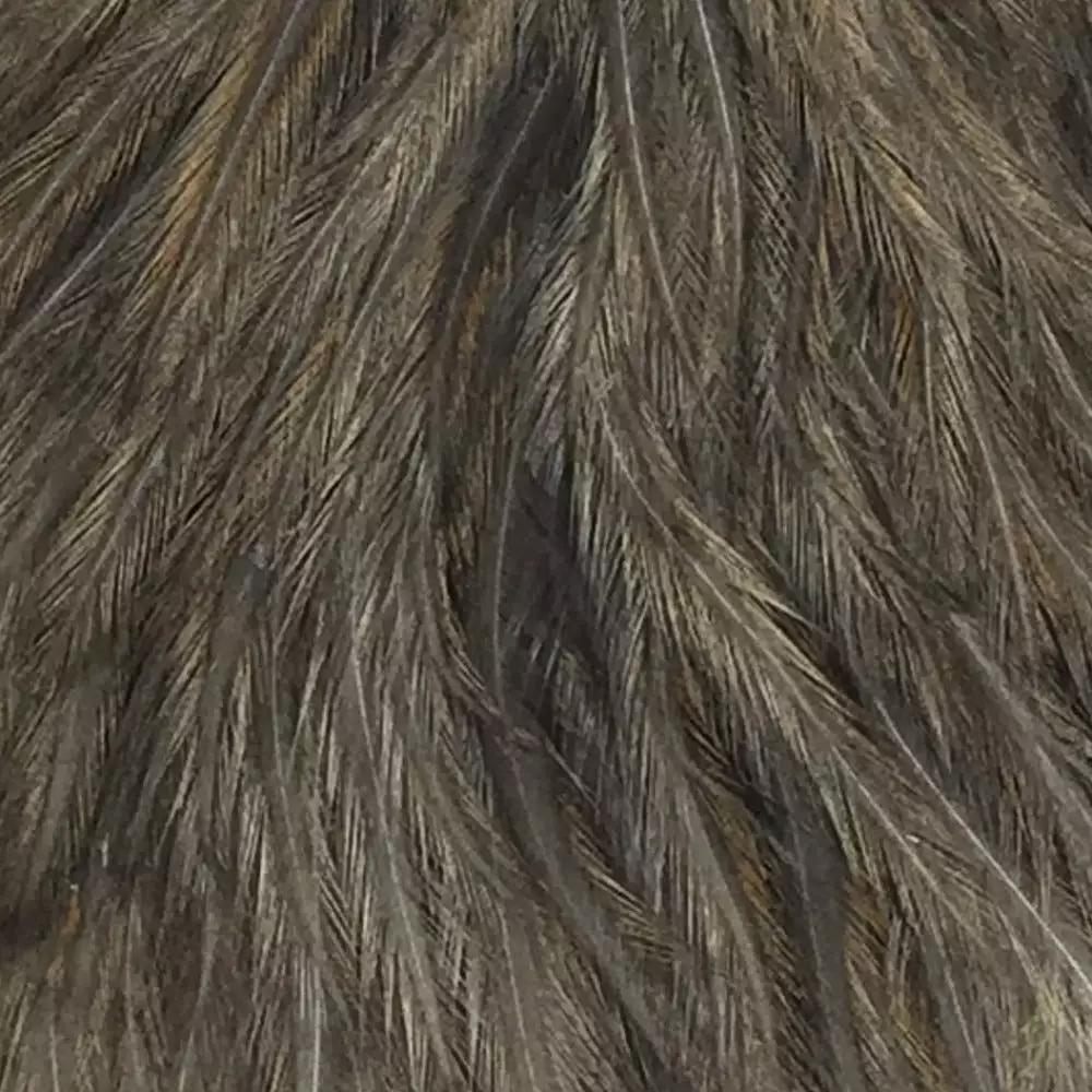 Materials Whiting American Hen Cape