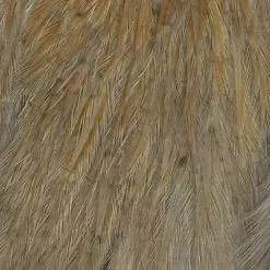 Materials Whiting American Hen Cape