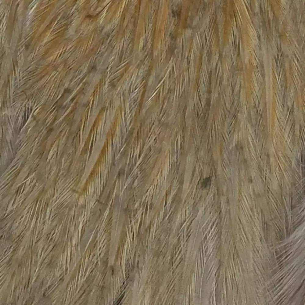 Materials Whiting American Hen Cape