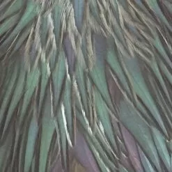 Materials Whiting American Hen Cape