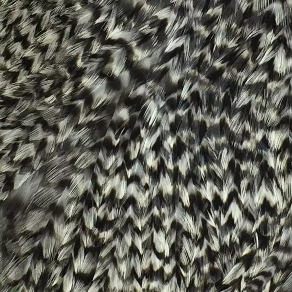 Materials Whiting American Hen Cape