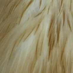 Materials Whiting American Hen Cape