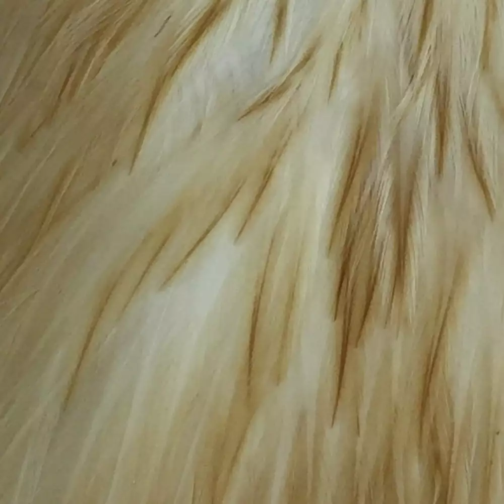 Materials Whiting American Hen Cape