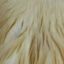 Materials Whiting American Hen Cape