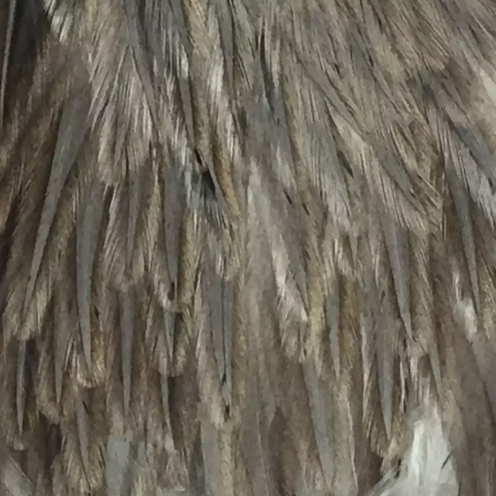 Materials Whiting American Hen Cape