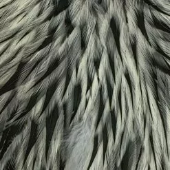 Materials Whiting American Hen Cape