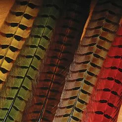Hareline Ringneck Pheasant Tail Feathers Materials