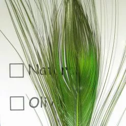 Hareline Stripped Peacock Eye Materials