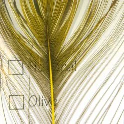 Hareline Stripped Peacock Eye Materials