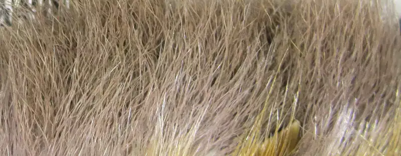 Hareline Materials Snowshoe Rabbit Feet