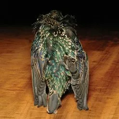 Hareline Starling Skins