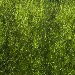 Hareline UV2 Sparkle Yarn