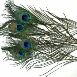 Wapsi PEACOCK EYES