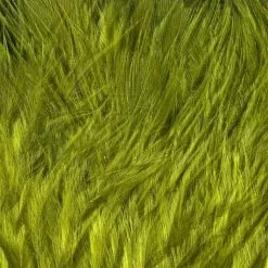 Hareline Wooly Bugger Marabou Materials