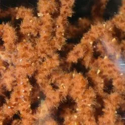 Hareline Wormille Fine Materials